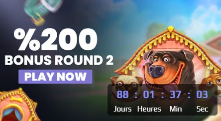 Bonus de dépôt de 200 % : Pack de bienvenue